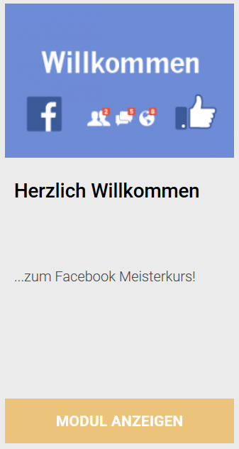 Facebook Meisterkurs